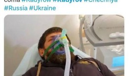 爆料小卡德罗夫最新消息,揭秘俄罗斯内部动态与未来走向”